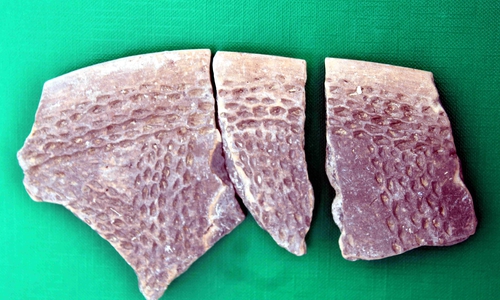  Gefäßbruchstücke der jungsteinzeitlichen Stichbandkeramiker.