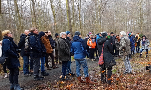 Für die Grünen ging es auf Grünkohl-Wanderung. Foto: Grüne