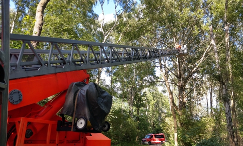 Mit Hilfe der Drehleiter wurde der Baum entfernt. Fotos: Feuerwehr Vorsfelde