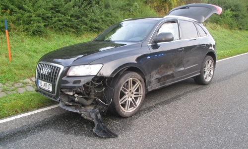 Der Wildunfall verursachte hohen Sachschaden. Foto: Polizei Goslar