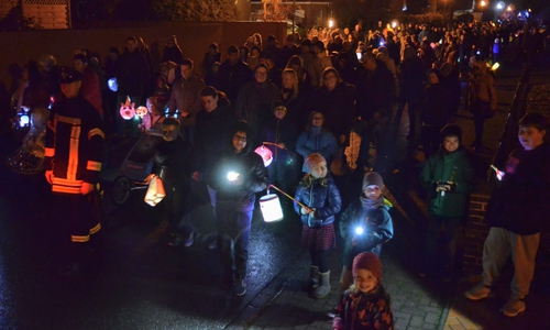 Viele waren gekommen, um mit ihren Laternen am Umzug teilzunehmen. Foto: Feuerwehr LK Gifhorn, Michael Gose