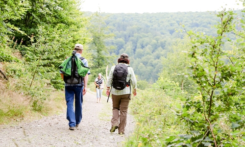Kur- Tourismus-   und Wirtschaftsbetriebe  der Stadt Bad Harzburg GmbH
