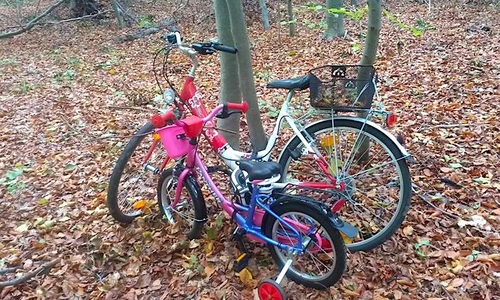 Die Fahrräder stehen seit einem Monat unverändert an der selben Stelle im Lechlumer Holz. Foto: Privat