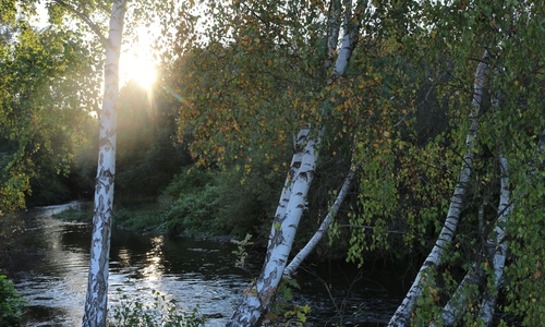 Die Mitteltemperatur in diesem Herbst liegt bislang nur leicht unter dem absoluten Bestwert. Foto: Anke Donner