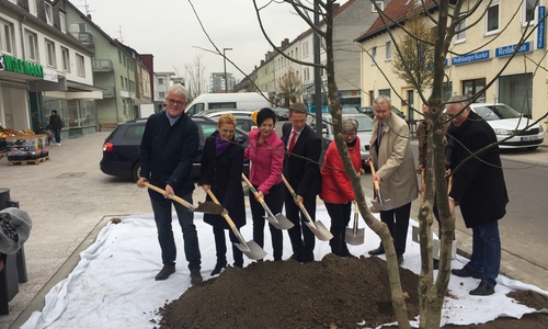 Oberbürgermeister und Stadtrat pflanzten einen Baum als Vollendung des Umbaus der Poststraße. Foto: Stadt Helmstedt