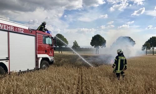 Die Feuerwehr hatte die Lage schnell im Griff. Fotos: FF Heiligendorf