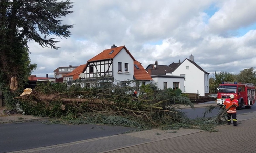 Rund 170 Feuerwehrkräfte waren beim Sturm im Einsatz. Foto: Feuerwehr Wolfenbüttel /Video: aktuell24(BM)