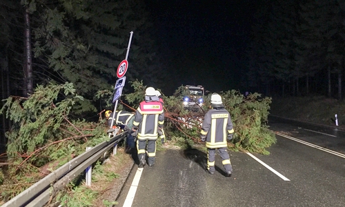Die Bad Harzburger Feuerwehr musste zu zwei Strumeinsätzen ausrücken. Foto: Feuerwehr Bad Harzburg