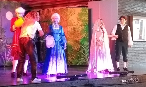 Die ausgebildeten Opernsänger haben live ihre Arien und Rezitative vorgetragen. Foto: Gymnasium Anna-Sophianeum