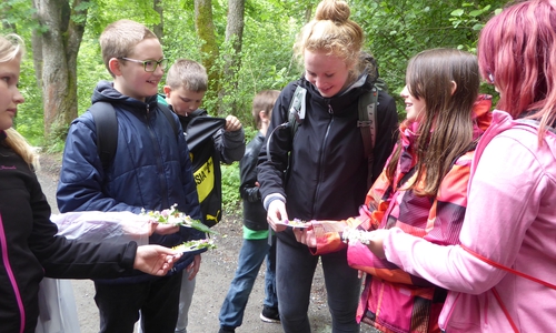 Henrike Wilmsen mit Schülern auf einer Kräuterwanderung am Natur-Erlebniszentrum HohneHof. Foto: Nationalpark Harz