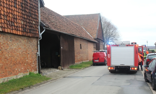 Ursache für den Brand sei vermutlich im Schornstein abgelagerter Ruß gewesen. Foto: Jan Borner