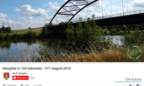 Es geht unter anderem um die Stabbogenbrücke. Screenshot: Stadt Salzgitter