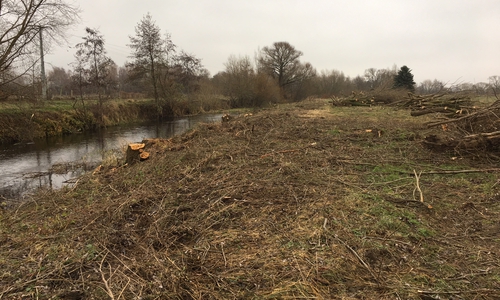 An der Oker kam es zu einer massiven Abholzung. Fotos: Oesterhelweg