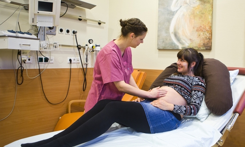 Hebamme untersucht Schwangere im Kreißsaal. Foto: Klinikum Braunschweig/ Jörg Scheibe