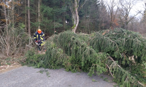 Die Feuerwehr beim Einsatz am Nonnenberg. Foto: Feuerwehr