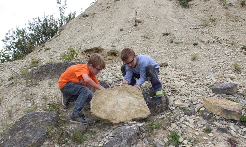 Am 8. April geht es in Evessen auf Fossiliensuche. Foto: Geopark