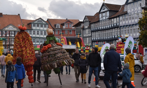 Der Stadtmarkt war das Zentrum des Herbstfestes und lockte vor allem Kinder mit seinen Hüpfburgen an. Fotos: Annabell Pommerehne