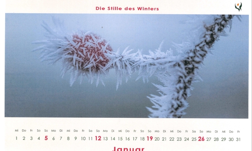 Der Kalender ist ab dem 25. Oktober erhältlich. Foto: PalliativNetz e.V.