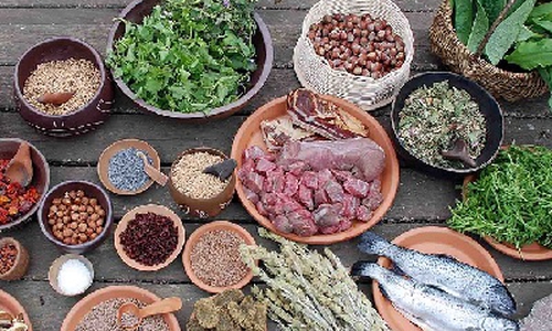 Paleo-Diät-Vortrag im Paläon. Foto: paläon GmbH 