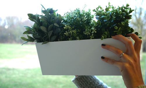 Auto mit Blümenkobel beworfen. Symbolfoto: Alexander Panknin