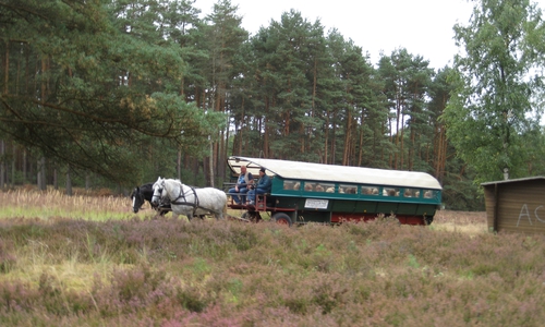 Mit dem Planwagen fuhren die Seniorenkreise durch die Heide, Foto: privat