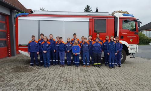 Die Nachwuchs-Feierwehrkräfte aus der Gemeinde Cremlingen legten die Jugendflamme ab. Fotos: Privat
