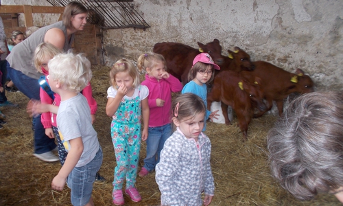 Der Kindergarten Dahlum machte einen Ausflug auf das Klostergut Heiningen. Foto: Privat