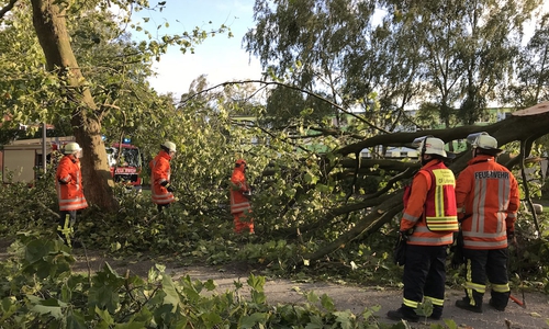 Umgestürzte Bäume überall. Die Feuerwehr war im Dauereinsatz. Fotos: Feuerwehr Salzgitter