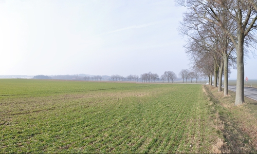 Sonnenkamp: Stadt stellt Bebauungspläne für Quartiere und Campus vor Fotos: Stadt Wolfsburg