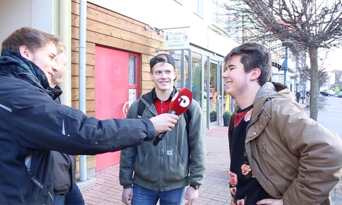Es muss ja nicht gleich ein ganzes Rosenfeld sein: Im Video verraten die Wolfenbütteler, was sie am Valentinstag vorhaben. Foto: Archiv / Video: Max Förster, Jan Borner
