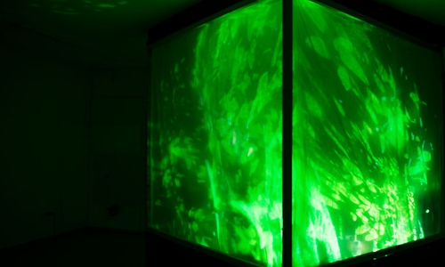 Installation „Organic Cube“ von Kalle Juhani Spielvogel. Foto: Nationalpark Harz