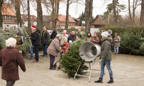 Der Förderverein Dettumer Freibad e.V. lädt zum Weihnachtsbaumverkauf ins Freibad ein. Foto: Förderverein Dettumer Freibad e.V.