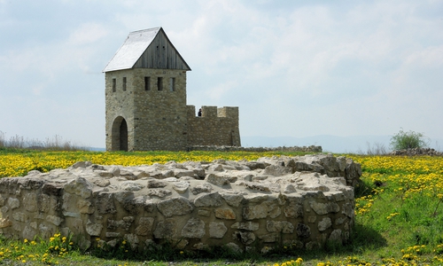 Archäologie und Geschichte sowie die Naturentwicklung sind die Themen. Foto: Stadtmarketing Hornburg