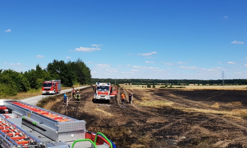 Die Feuerwehr richtete einen Appell an die Bürger und gibt Tipps, was zur trockenen Jahreszeit zu beachten ist. Fotos: Feuerwehr Gemeinde Cremlingen