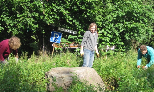 Rats-Frau Irene Mutke trat für die Pflege des Rosendreiecks in Evessen ein. Foto: Richert
