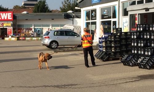 Mantrailer vorm REWE-Markt. Foto: Polizei Peine.