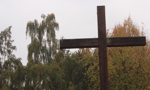 Friedhofsgebühren sinken. Foto: Anke Donner
