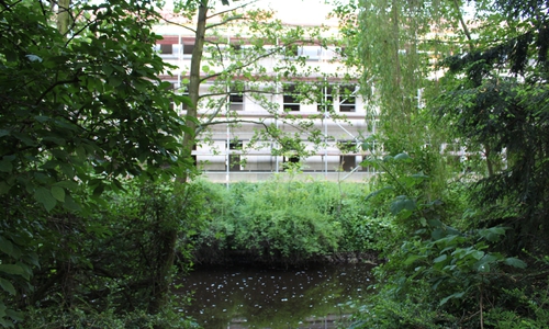 An dieser Stelle wurde der 20-Jährige gefunden. Foto: Sandra Zecchino