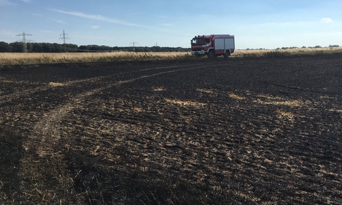 Die Feuerwehr konnte den Brand ablöschen, vom Feld blieb jedoch nicht viel übrig. Fotos: aktuell24(kr)/ Video: privat