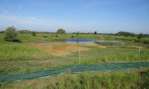 Die Untere Naturschutzbehörde des Landkreises sichert zurzeit Amphibien- und Vogellebensräume im FFH- und Landschaftsschutzgebiet Herzogsberge in Cremlingen. Foto: Landkreis Wolfenbüttel 