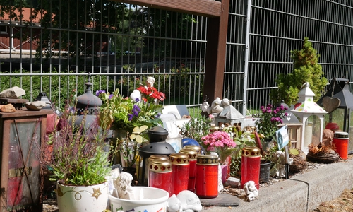 Auf einem Tierfriedhof finden die geliebten Tiere ihre letzte Ruhe. Fotos: Alexander Panknin