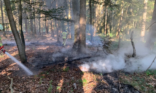 Derzeit ist die Feuerwehr in Bad Helmstedt im Einsatz. Fotos: Feuerwehr