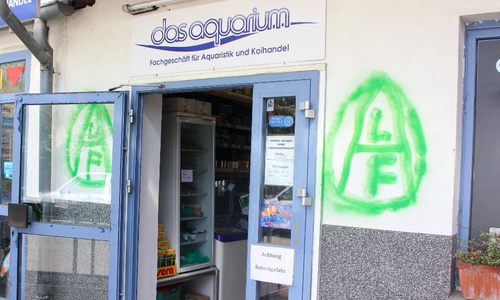 ALF beschmiert Aquaristik-Fachgeschäft. Foto: Max Förster