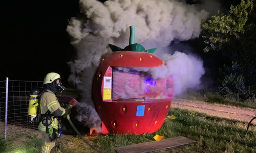 Beim Eintreffen der Feuerwehr brannte das Häuschen bereits in voller Ausdehnung. Fotos: Feuerwehr