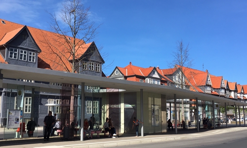 Die beiden Bäume am Kornmarkt wurden zu Tode bewässert. Foto: Julia Seidel