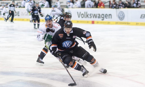 Testspiele für die Grizzlys, unter anderem gegen die Augsburg Panther. Foto: Reinelt/PresseBlen.de