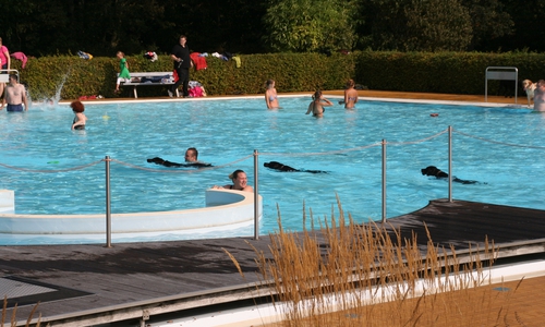 Am 16. September dürfen Hunde im Freibad Elm schwimmen. Foto: Foto Diethelm Krause-Hotopp