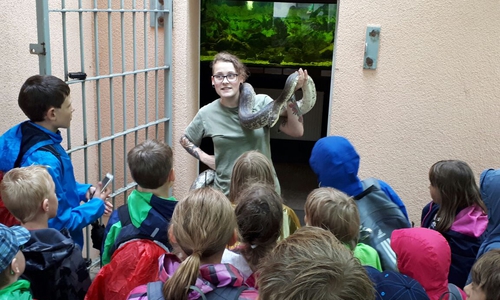  Schlangen gab es unter anderem im Zoo Aschersleben zu sehen.