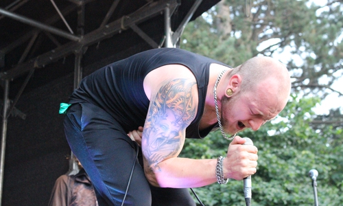 Rock- und Pop-Fans kamen beim AsseBeatz-Festival am Samstag voll auf ihre Kosten. Der Frontsänger von "Stepfather Fred" gibt alles. Foto: Max Förster