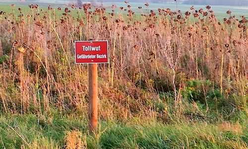 Das Tollwut-Schild sorgte für Aufregung auf Facebook. Foto: Privat